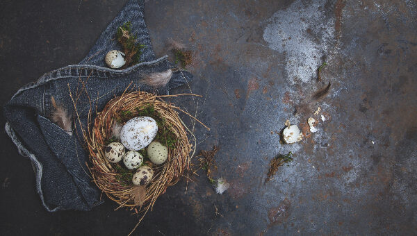 Ostern_Eier_600x340