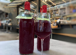 Schilchersturm aus der Stmk