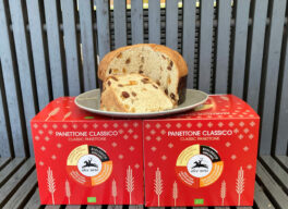 BIO Panettone von Alce Nero