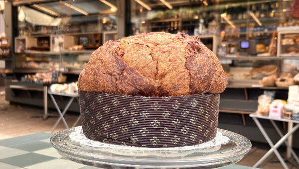 Panettone von Mati